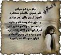 images 255