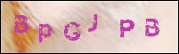 صورة التسجيل