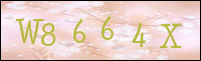 صورة التسجيل