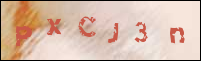 صورة التسجيل